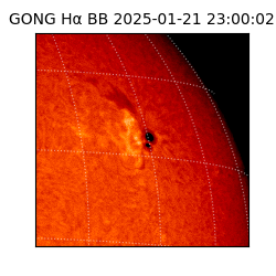 gong - 2025-01-21T23:00:02