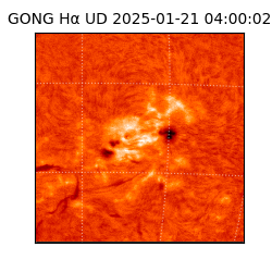 gong - 2025-01-21T04:00:02