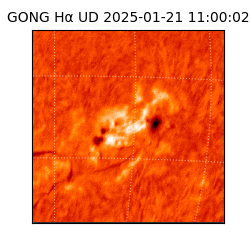 gong - 2025-01-21T11:00:02