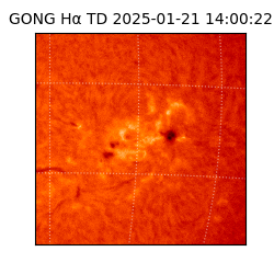 gong - 2025-01-21T14:00:22
