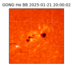 gong - 2025-01-21T20:00:02