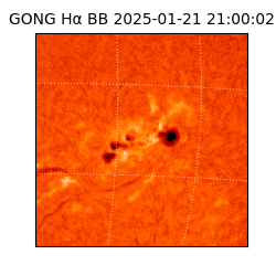 gong - 2025-01-21T21:00:02