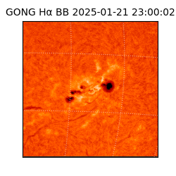 gong - 2025-01-21T23:00:02