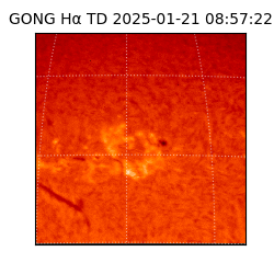 gong - 2025-01-21T08:57:22
