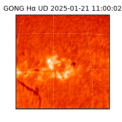 gong - 2025-01-21T11:00:02