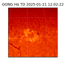 gong - 2025-01-21T12:02:22