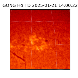 gong - 2025-01-21T14:00:22