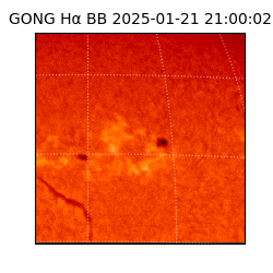 gong - 2025-01-21T21:00:02