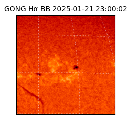 gong - 2025-01-21T23:00:02