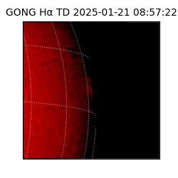 gong - 2025-01-21T08:57:22