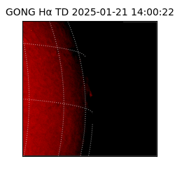 gong - 2025-01-21T14:00:22