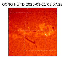 gong - 2025-01-21T08:57:22