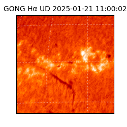 gong - 2025-01-21T11:00:02