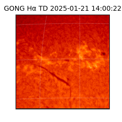 gong - 2025-01-21T14:00:22