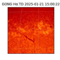 gong - 2025-01-21T15:00:22