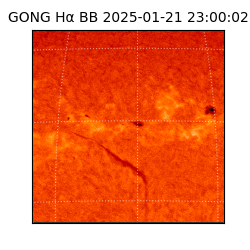 gong - 2025-01-21T23:00:02