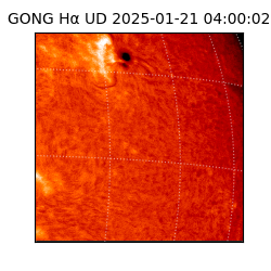 gong - 2025-01-21T04:00:02