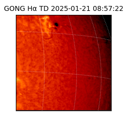 gong - 2025-01-21T08:57:22
