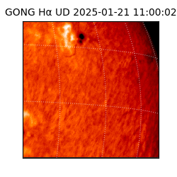 gong - 2025-01-21T11:00:02