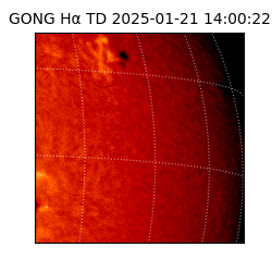 gong - 2025-01-21T14:00:22