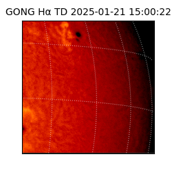 gong - 2025-01-21T15:00:22