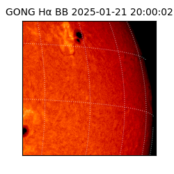 gong - 2025-01-21T20:00:02