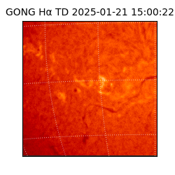 gong - 2025-01-21T15:00:22