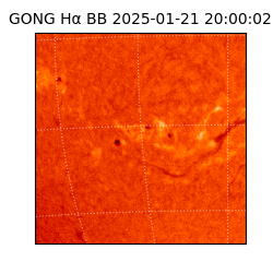 gong - 2025-01-21T20:00:02