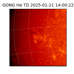 gong - 2025-01-21T14:00:22