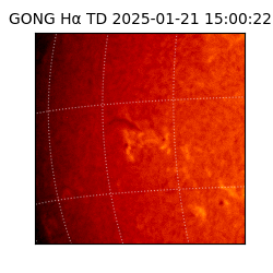 gong - 2025-01-21T15:00:22