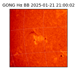 gong - 2025-01-21T21:00:02