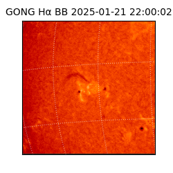 gong - 2025-01-21T22:00:02