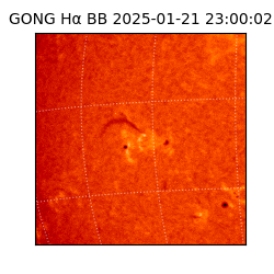 gong - 2025-01-21T23:00:02