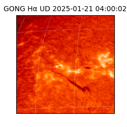 gong - 2025-01-21T04:00:02