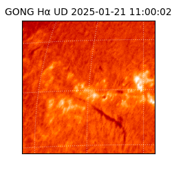 gong - 2025-01-21T11:00:02