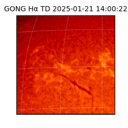 gong - 2025-01-21T14:00:22