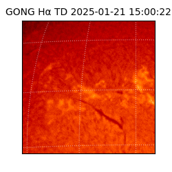 gong - 2025-01-21T15:00:22