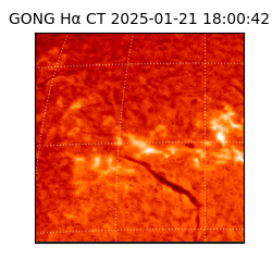 gong - 2025-01-21T18:00:42
