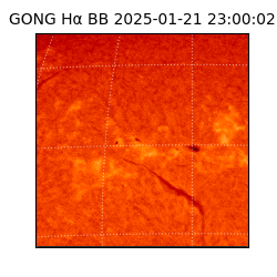 gong - 2025-01-21T23:00:02