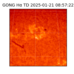 gong - 2025-01-21T08:57:22