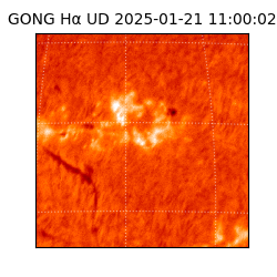 gong - 2025-01-21T11:00:02