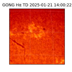 gong - 2025-01-21T14:00:22