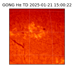 gong - 2025-01-21T15:00:22