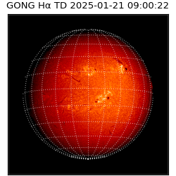 gong - 2025-01-21T09:00:22