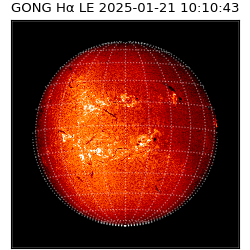 gong - 2025-01-21T10:10:43