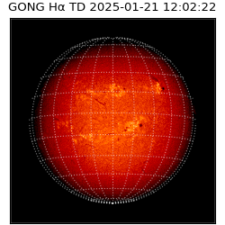 gong - 2025-01-21T12:02:22