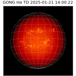 gong - 2025-01-21T14:00:22