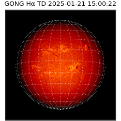 gong - 2025-01-21T15:00:22