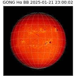 gong - 2025-01-21T23:00:02