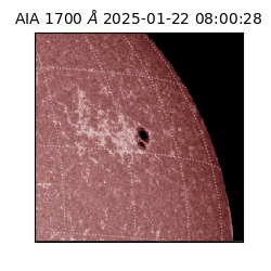 saia - 2025-01-22T08:00:28.718000